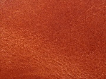 Primavera konjakas 06